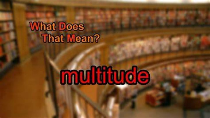 What does word multitude mean?