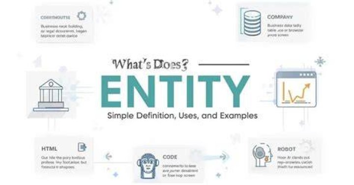 What entity means?
