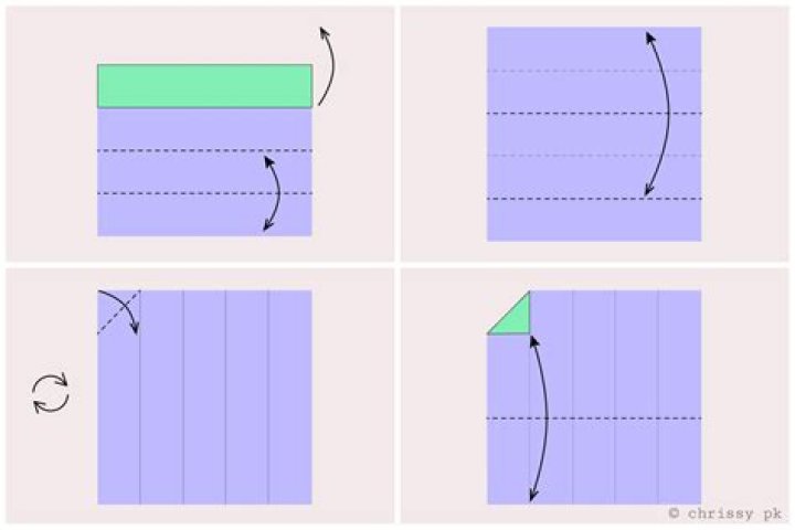 What figures can you form when you fold a square in half?