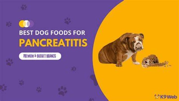 What foods trigger pancreatitis in dogs?