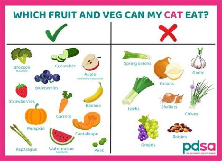 What fruits and vegetables can cats eat?