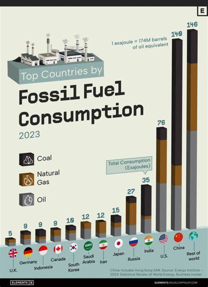 What fuel is used in Pakistan?