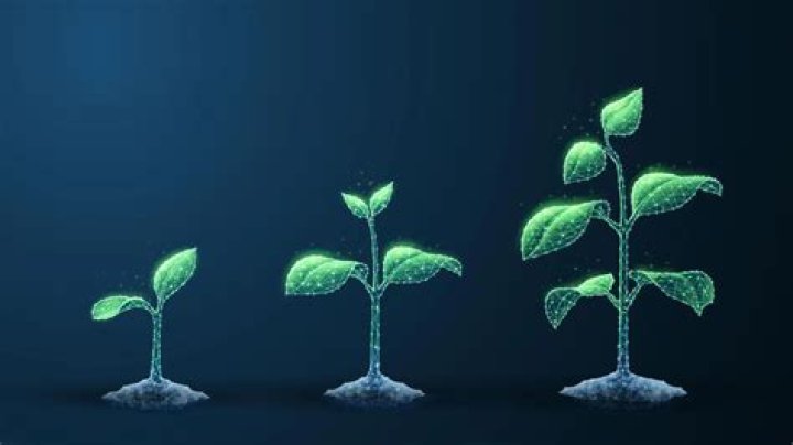 What growth limits exist?