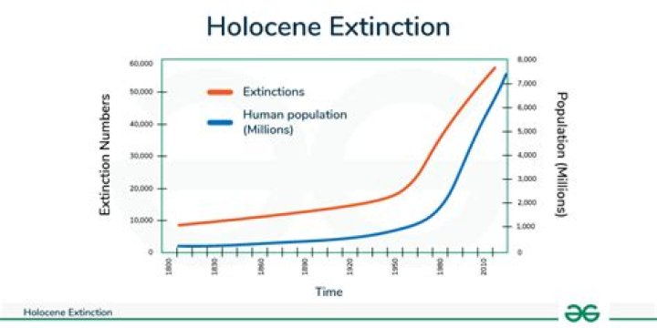 What happened Holocene extinction?
