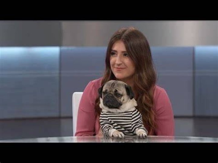 What happened to Doug the pug?