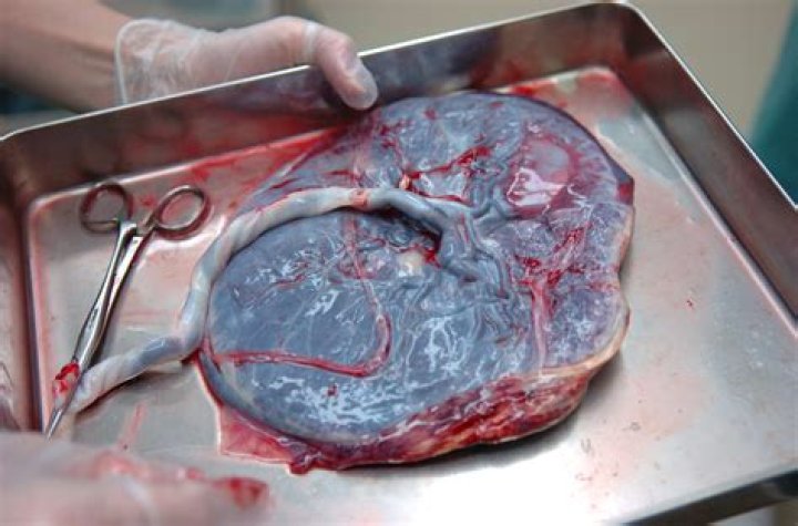 What happens if a man eats placenta?