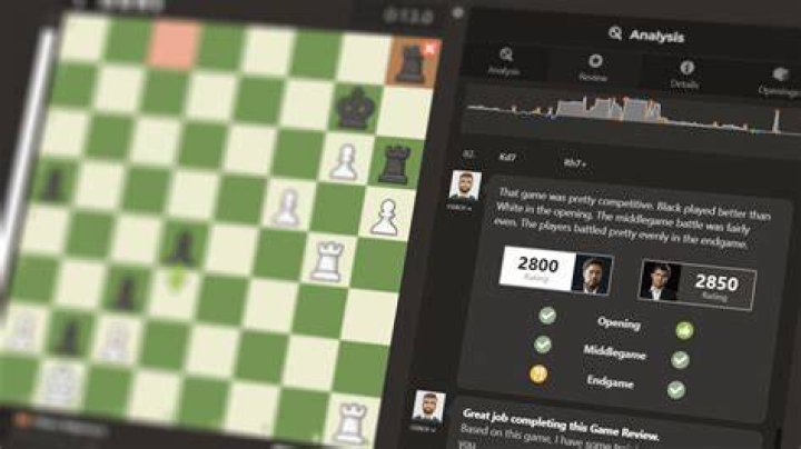What happens if you report someone in chess com?