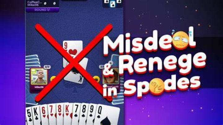 What happens when you misdeal in spades?