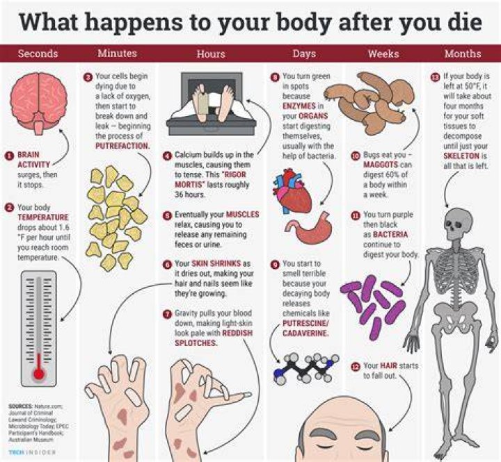 What happens when you see a person die?