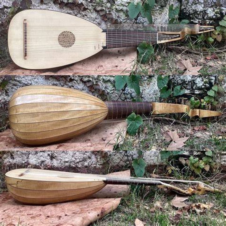 What is a 13 course lute?