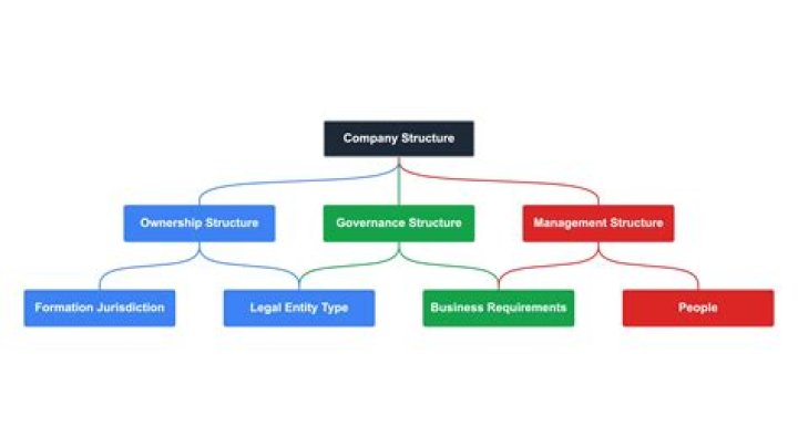 What is a company entity name?
