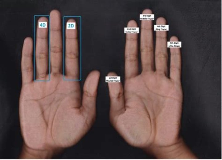 What is a finger digit?
