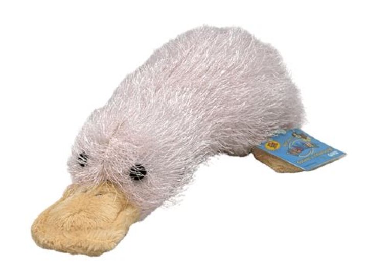 What is a Googles Webkinz?