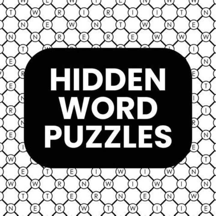 What is a hidden word puzzle?