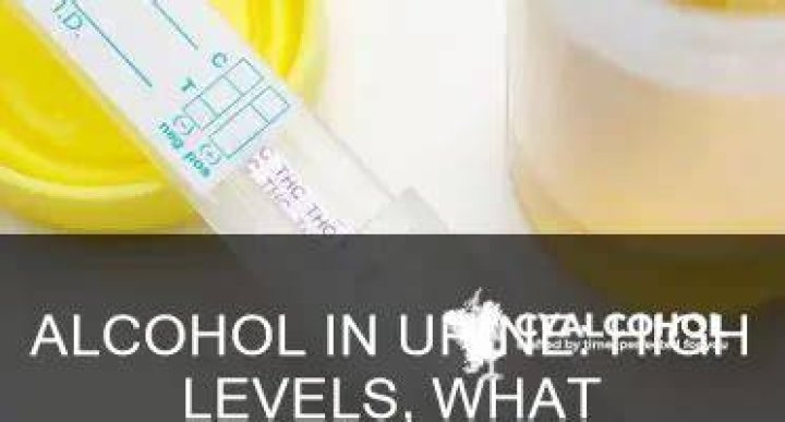 What is a high level of alcohol in urine?