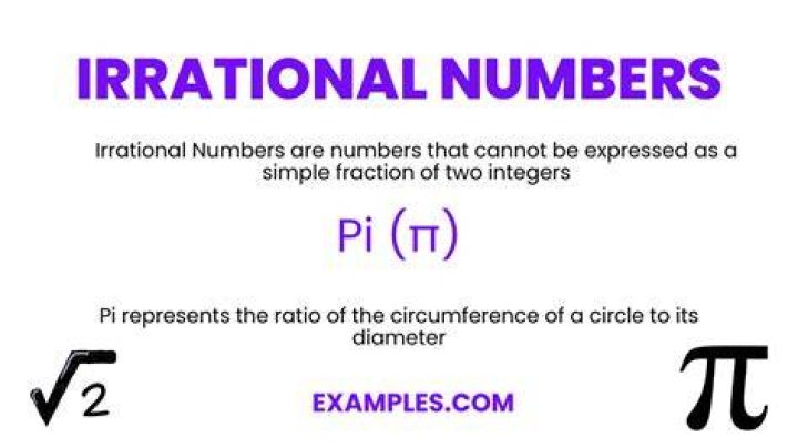 What is a irrationality mean?