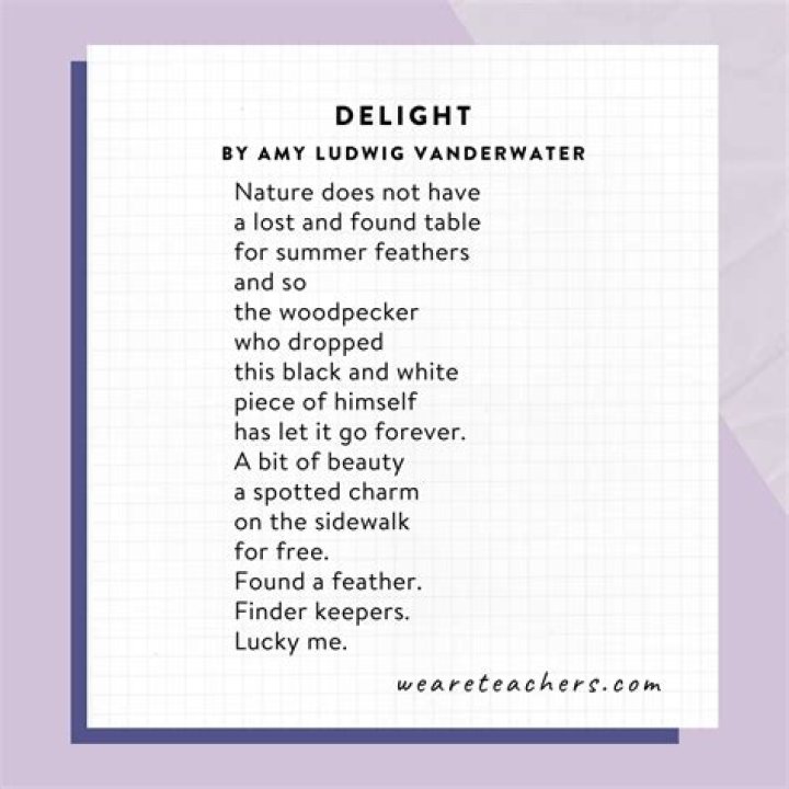 What is a puzzle in a poem?