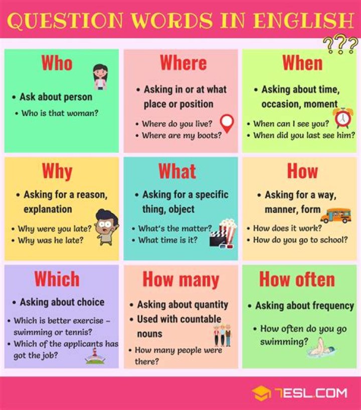 What is a special question?