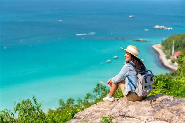 What is a traveler person?