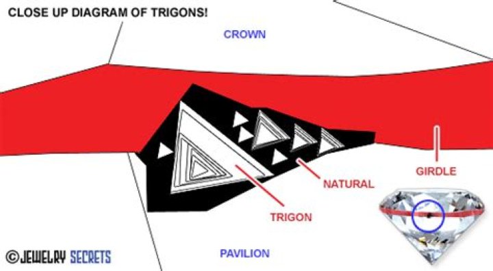 What is a Trigon on a diamond?