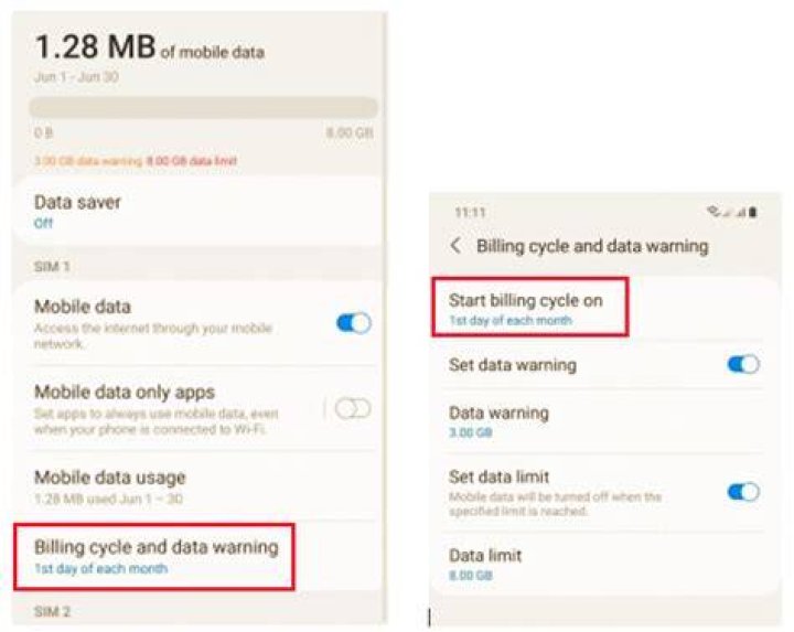 What is a usage cycle reset date?