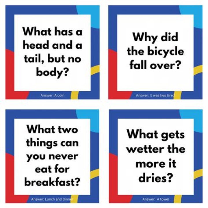 What is a visual riddle called?