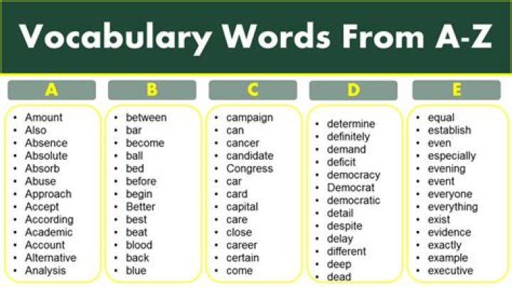 What is a vocabulary word examples?
