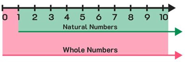 What is a whole number sequence?