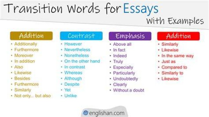 What is a word for a body of work?