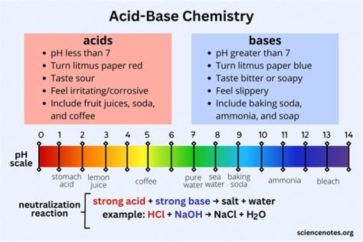 What is an acid and what is a base?