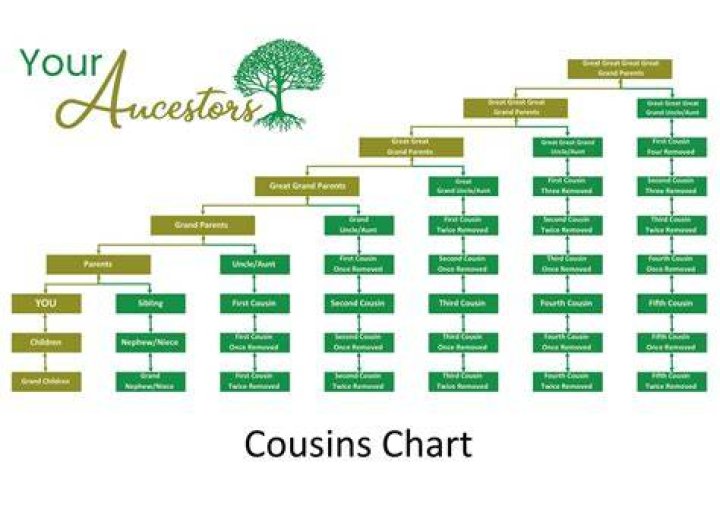 What is an eight cousin?