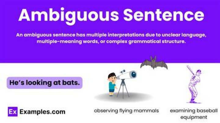 What is an example of ambiguous sentence?
