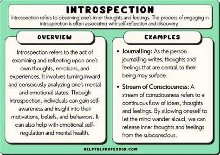 What is an example of introspective?