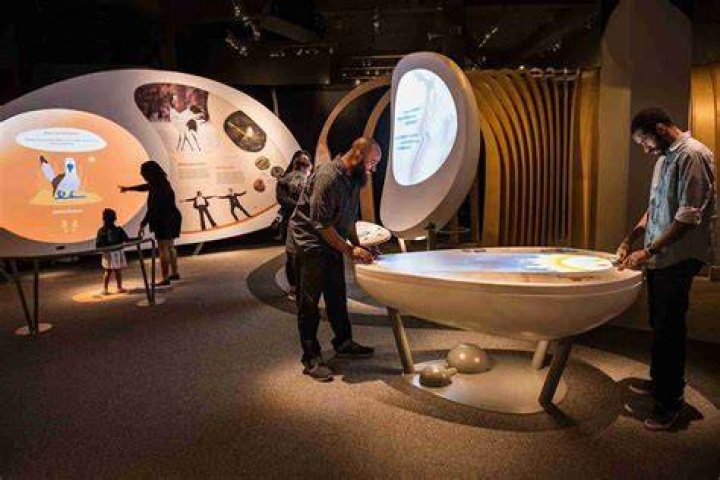 What is an exhibit in a museum?
