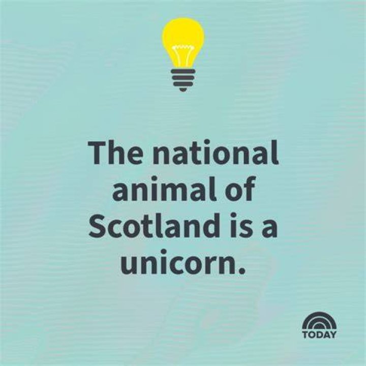 What is an interesting point?