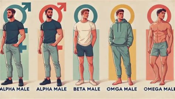 What is an omega in a relationship?