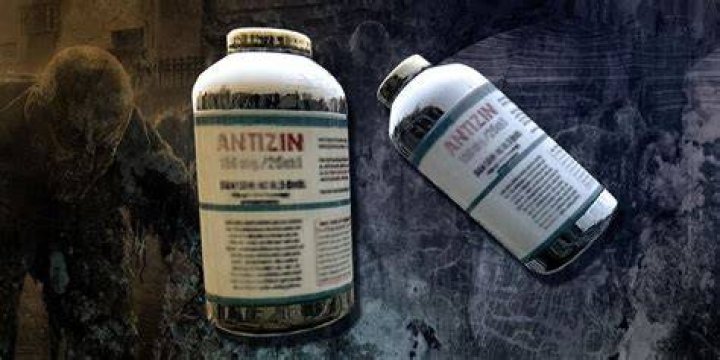 What is Antizen Dying Light?