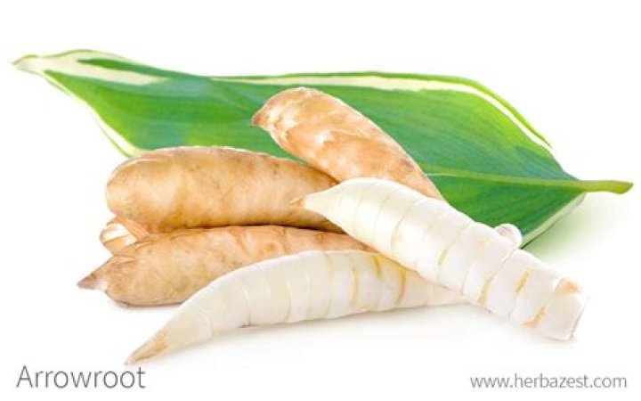 What is arrowroot called in English?