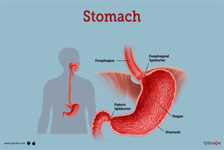What is blowing on someone's stomach called?