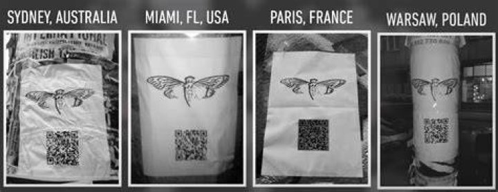 What is Cicada code?