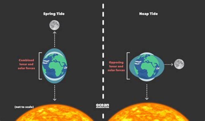 What is considered high tide?