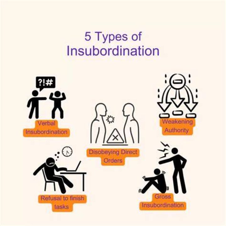 What is considered insubordination in the workplace?