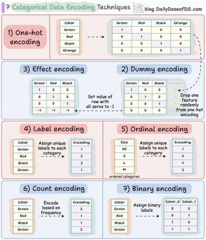 What is encoded for encoding?