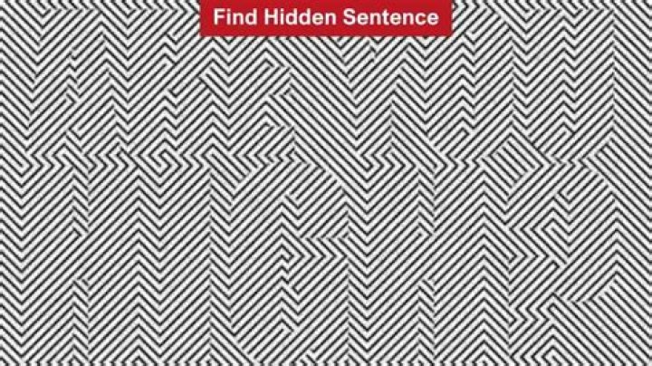 What is hidden sentence?