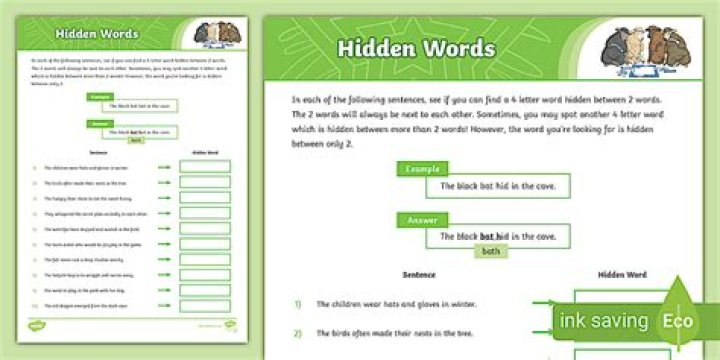What is hidden words example?