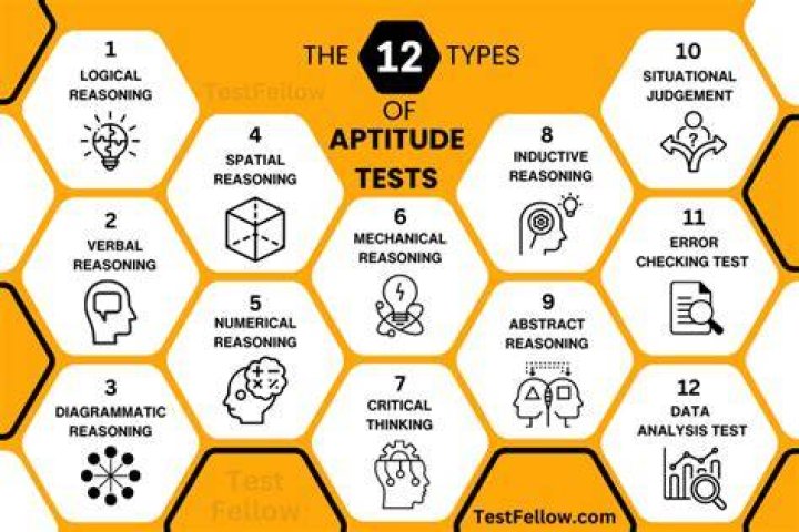 What is in an aptitude test?