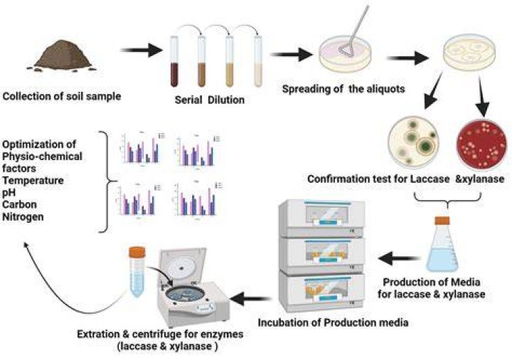 What is isolation in lab?