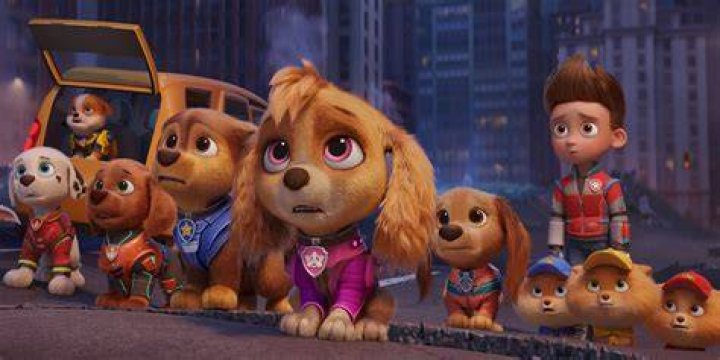 What is liberty afraid of PAW Patrol?