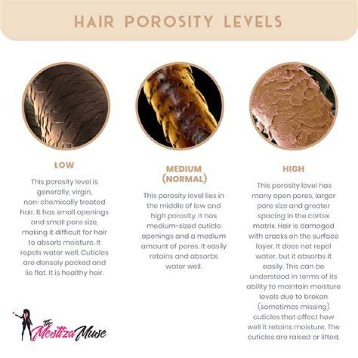 What is low porosity 4c hair?