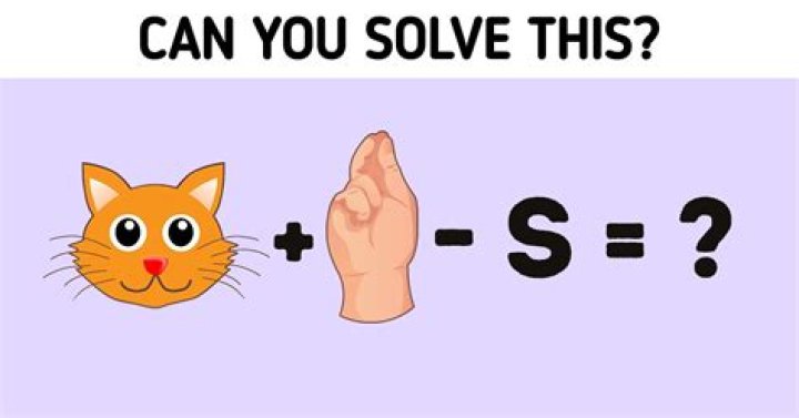 What is math Rebus?